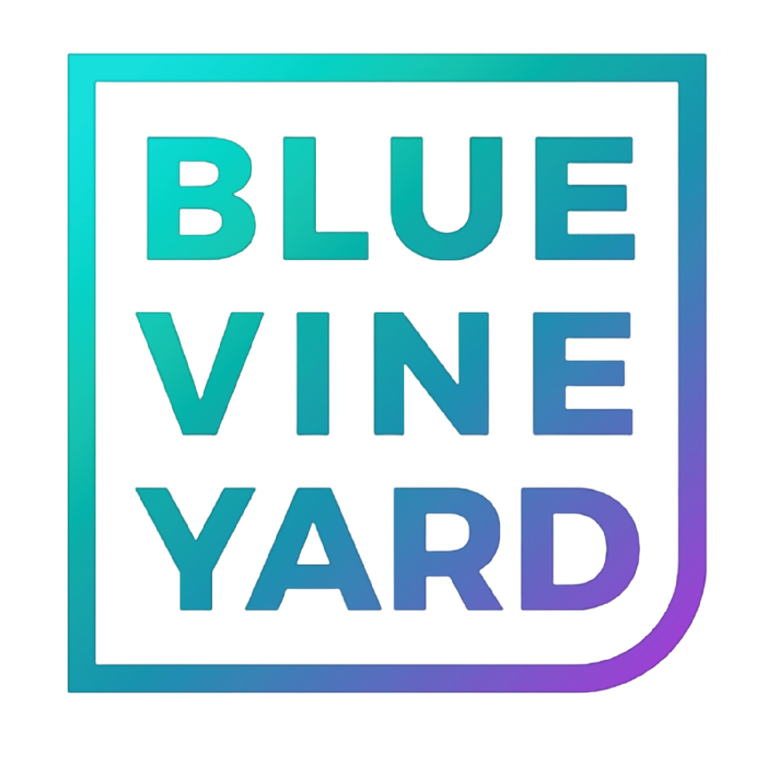 The Blue Vineyard Podcast